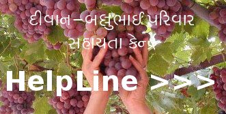 Diwan-Ballubhai Helpline